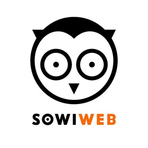 SowiWeb 